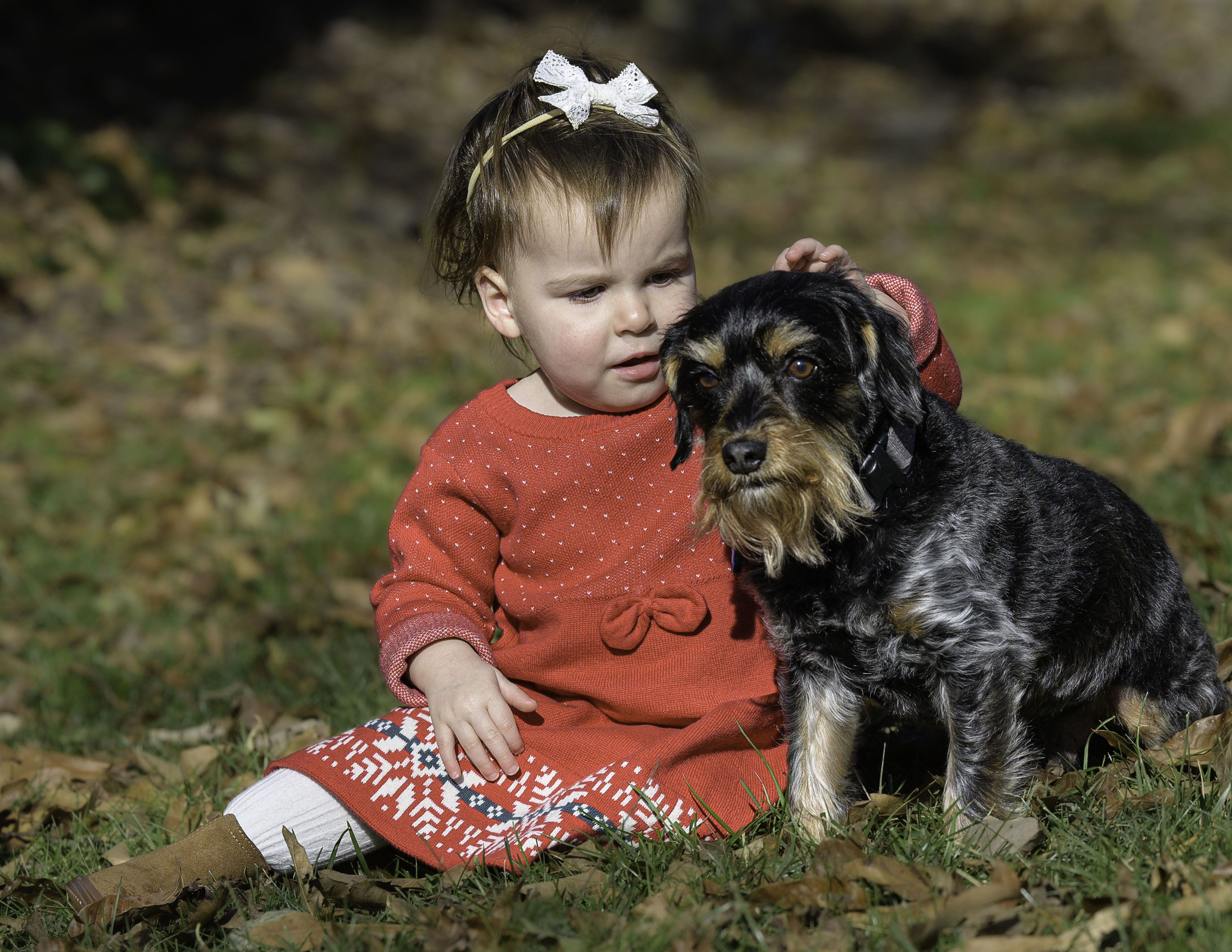 Two-year-old giving her small dog a pep talk in between his runs for the camera.
