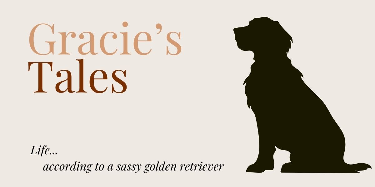 Gracie’s Tale #1: Walks are where we learn